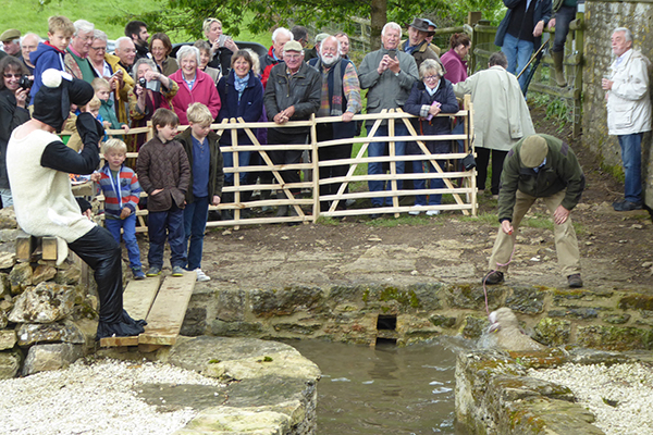 Sheepwash 9