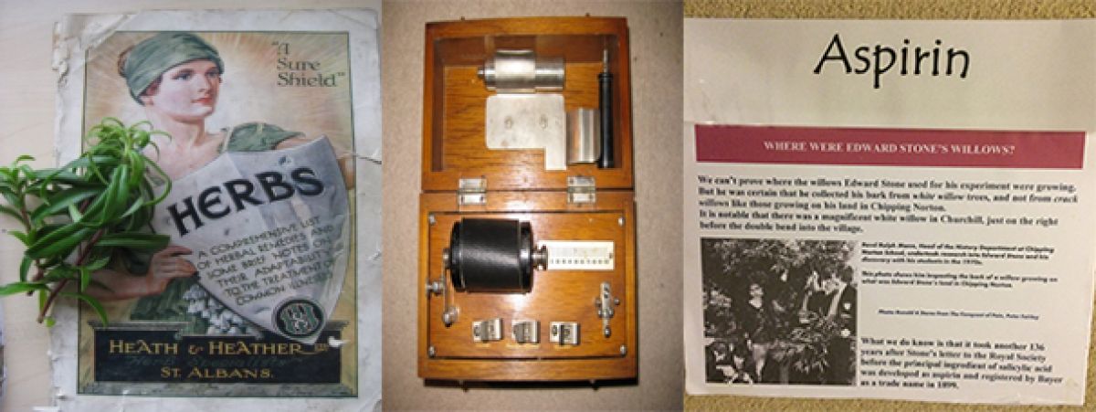 Health & Healing in Churchill 2009-2010