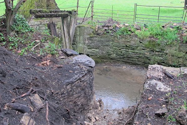 Opening of the restored Sarsden washpool 2017