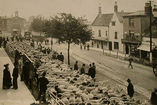 Chipping Norton Revealed